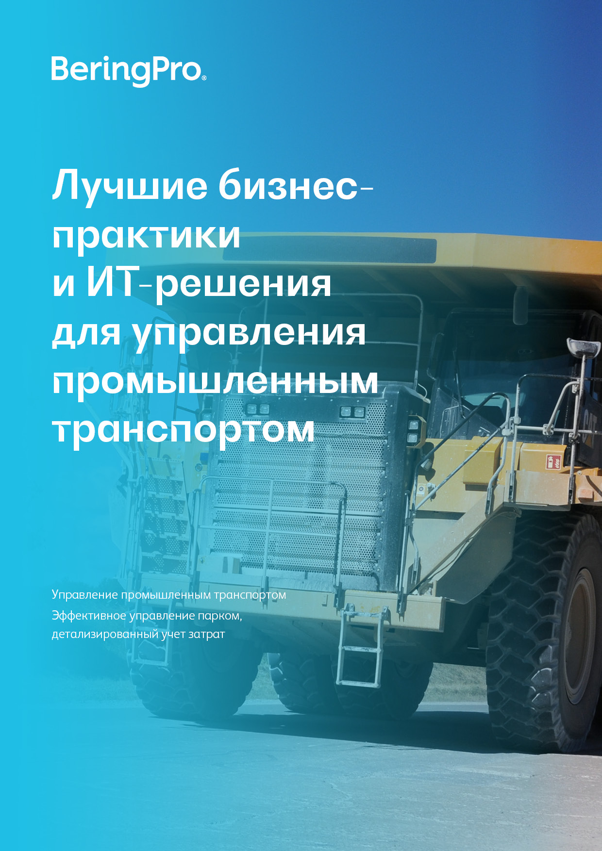 Загрузить Лучшие бизнес-практики и ИТ-решения для управления промышленным транспортом