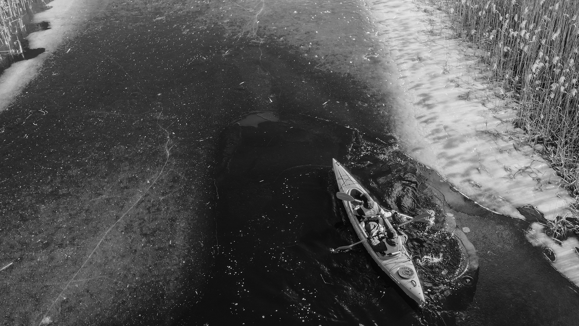 Адаптация решения SAP и интеграция с маркетплейсом